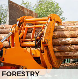 Wilson Forestry