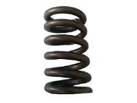 Versa Valve Spring