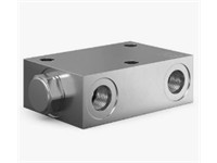 Pilot Piston Style Dual Pilot Operated Check Valves