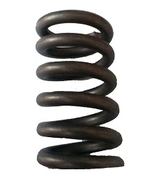 Versa Valve Spring