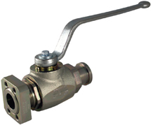 Forged Body Ball Valve - Type FBV2H/2T High-Pressure Forged Body Valve - FBV2H/2T
